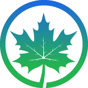 Fall Lawn Cleanup