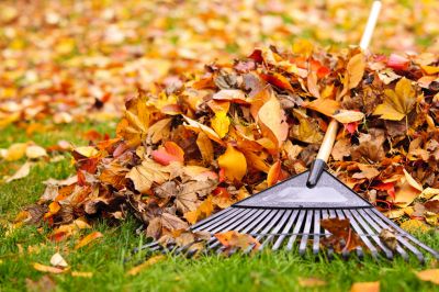 Enhancing Curb Appeal!