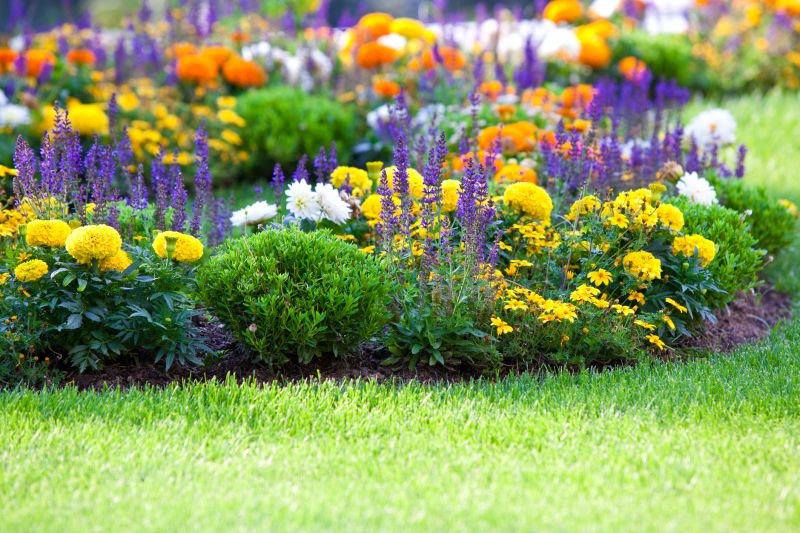 Perennial Landscaping in Ventura County, CA