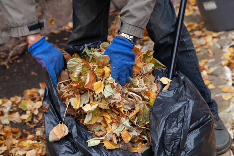 Top Rated Products for Fall Lawn Cleanup