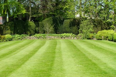Promoting Grass Growth!
