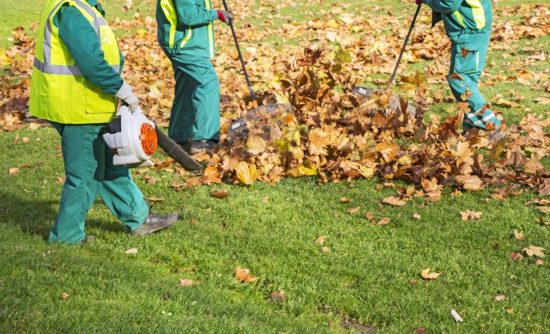 Fall Lawn Cleanup