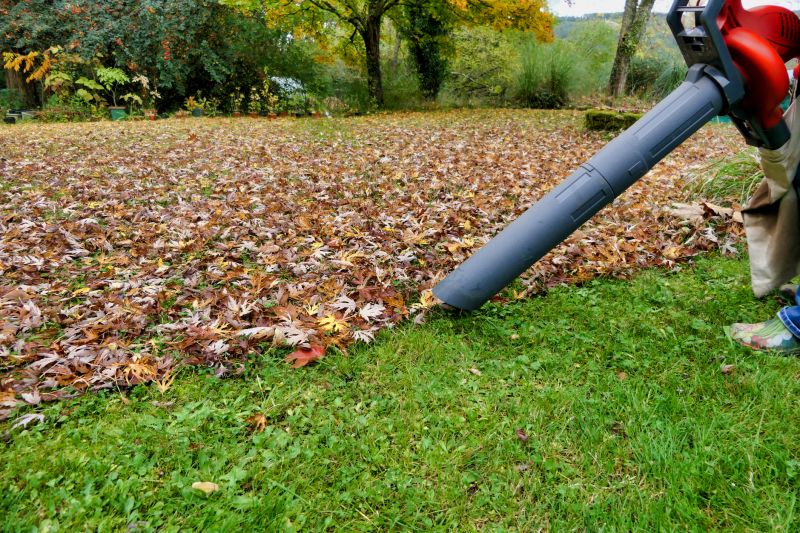Fall Lawn Cleanup