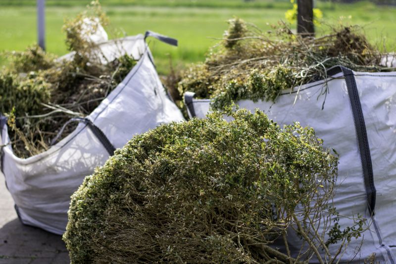 Blackberry Bush Removal in Ventura County, CA