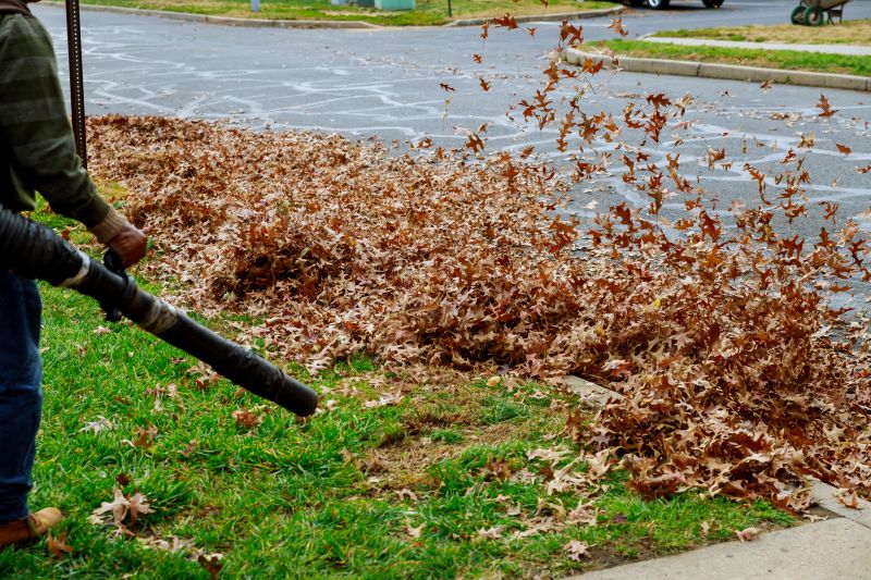 Commercial Leaf Removal in Ventura County, CA