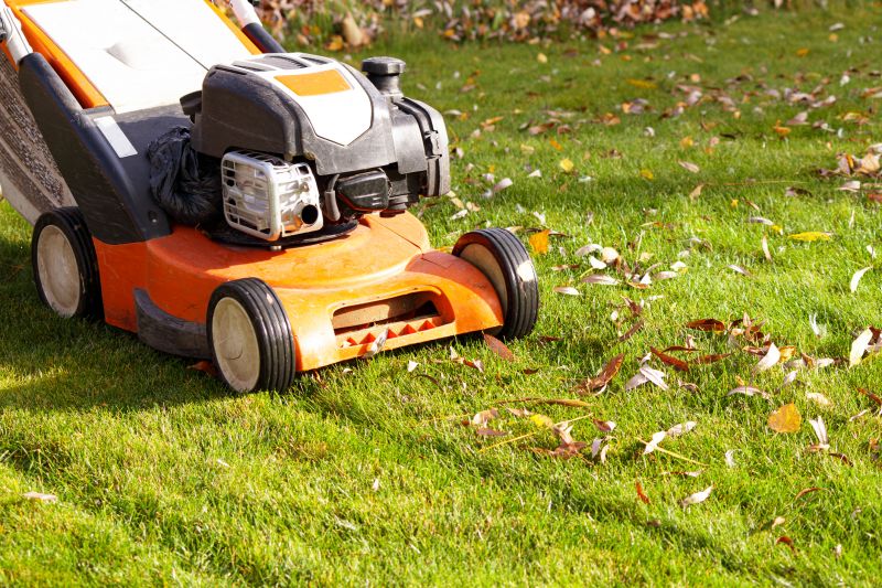Fall Lawn Maintenance Tools