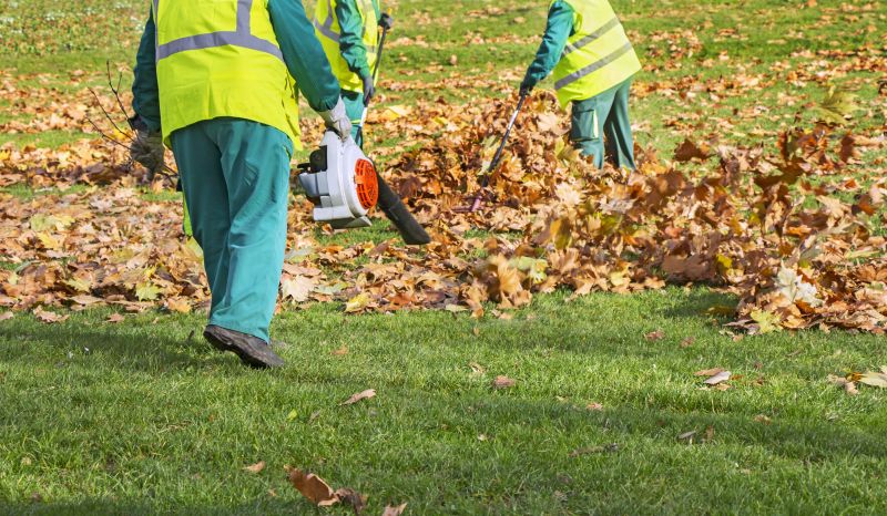 Gathered Leaves and Debris