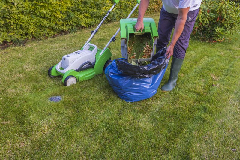 Fall Lawn Cleanup