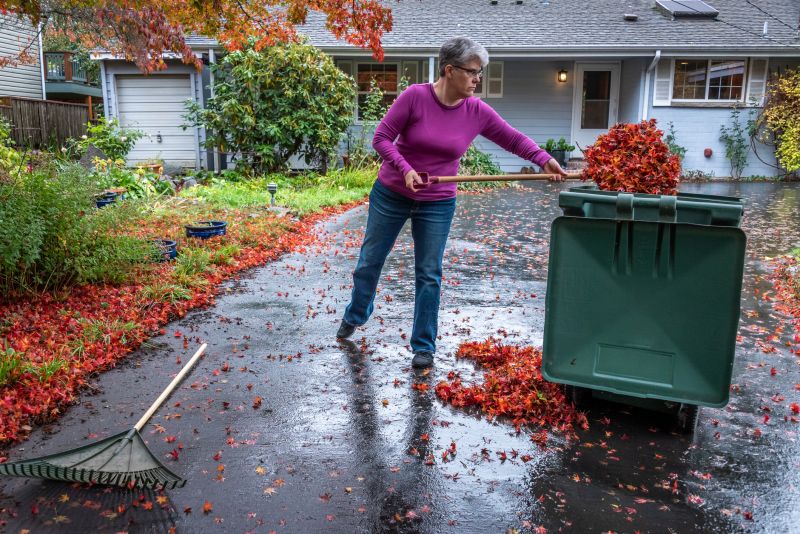 Fall Lawn Cleanup