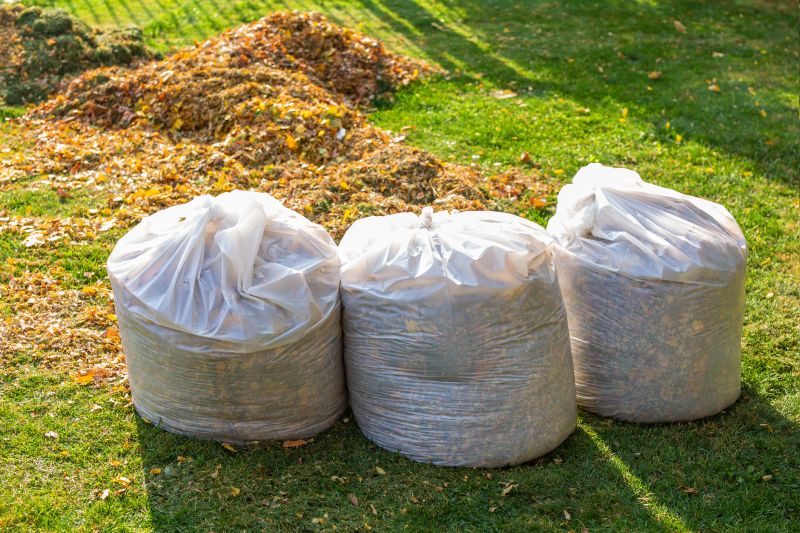 Fall Lawn Cleanup Service in Honolulu, HI