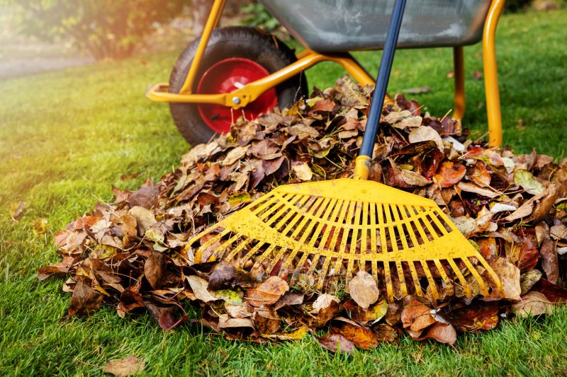 Accessibility & Comfort