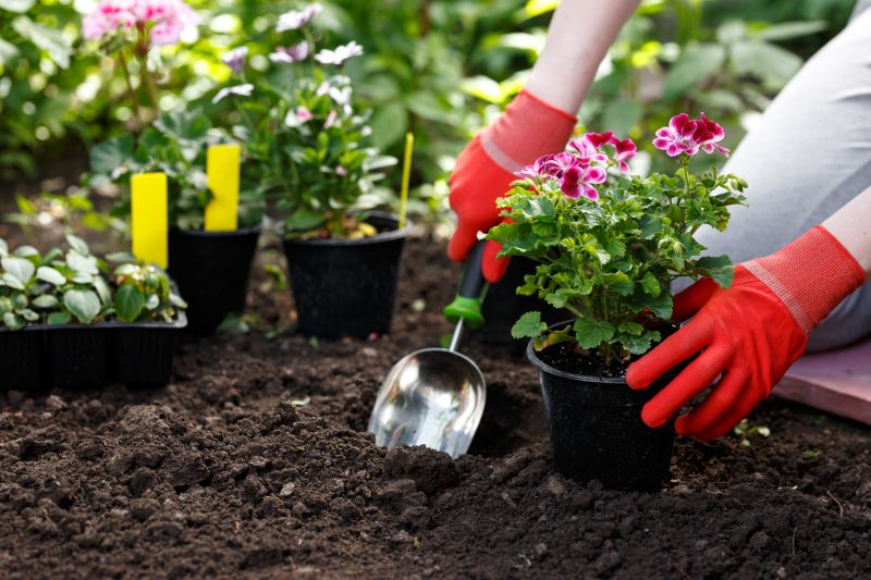Flower Planting Service in Honolulu, HI
