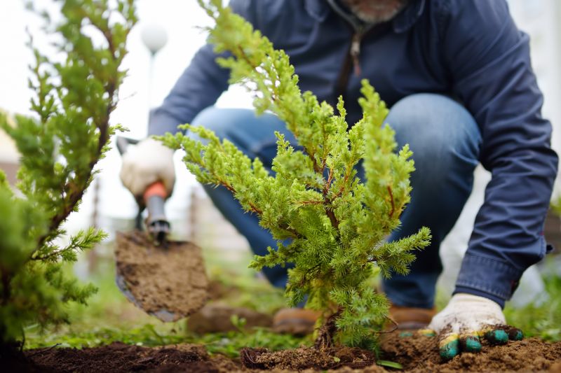 Greenery Planting in Ventura County, CA
