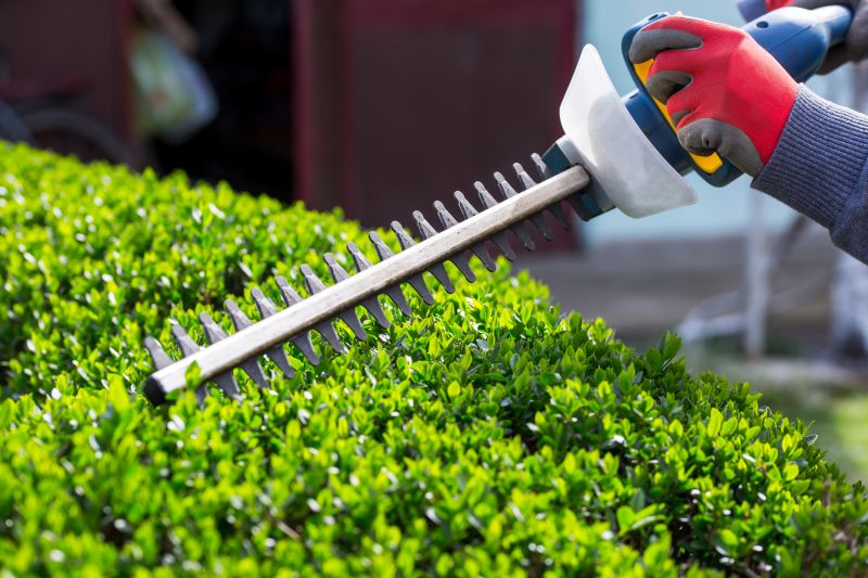 Hedge Shaping Service in Honolulu, HI