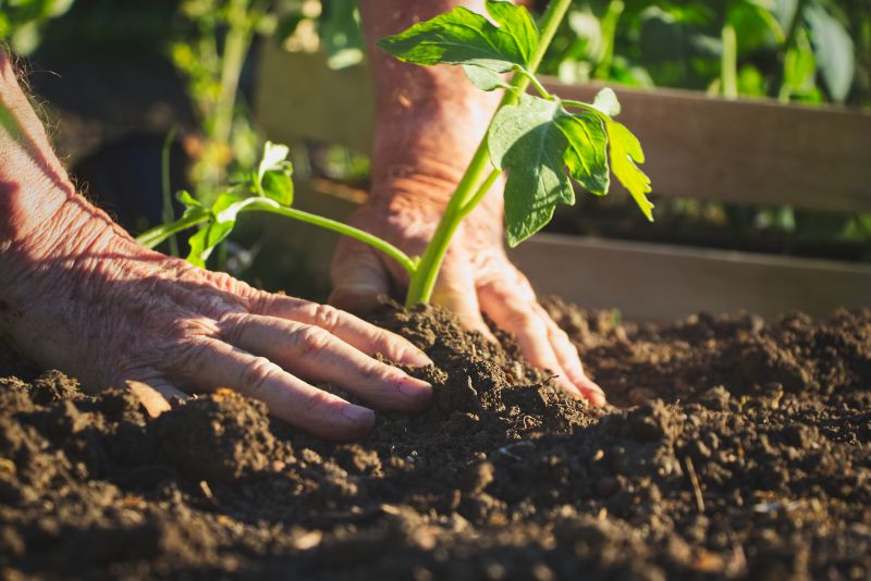 Landscape Planting Service in Honolulu, HI