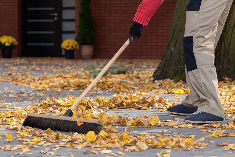 Leaves Vacuuming in Honolulu, HI