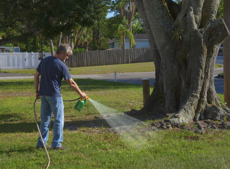 Rock Bed Weeding in Rockwall, TX