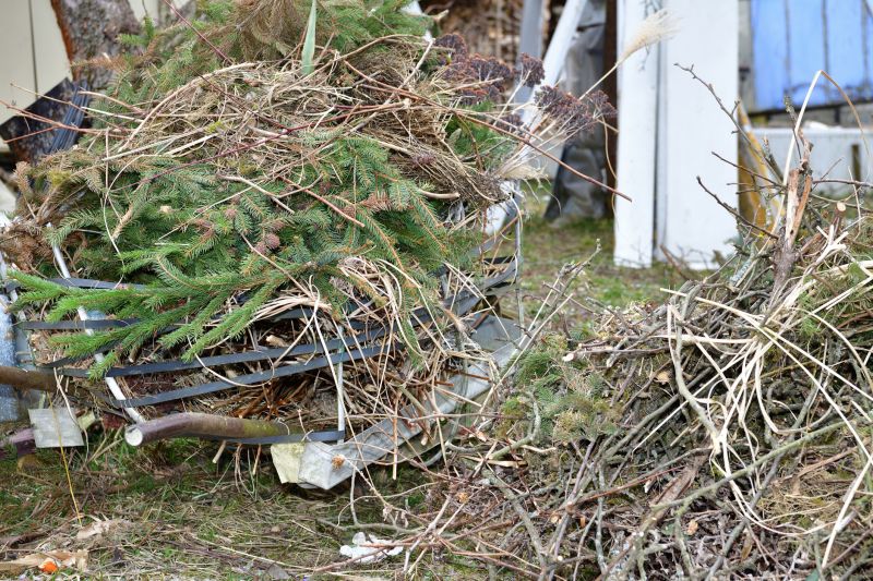 Tree Branch Disposal in Ventura County, CA