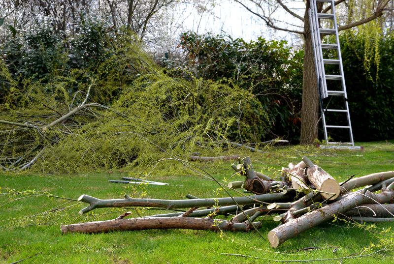 Tree Branch Disposal in Ventura County, CA