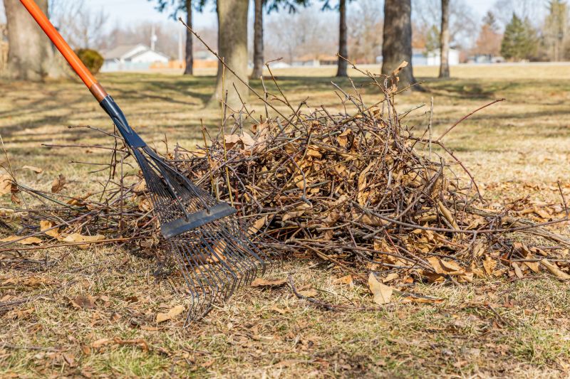 Tree Debris Removal in Ventura County, CA