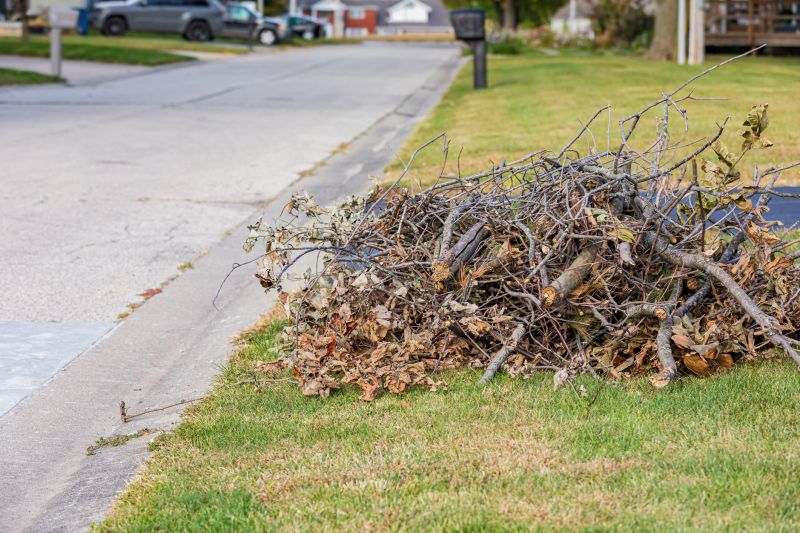 Tree Debris Removal in Honolulu, HI