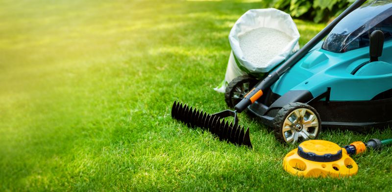 Specialized Lawn Care Services